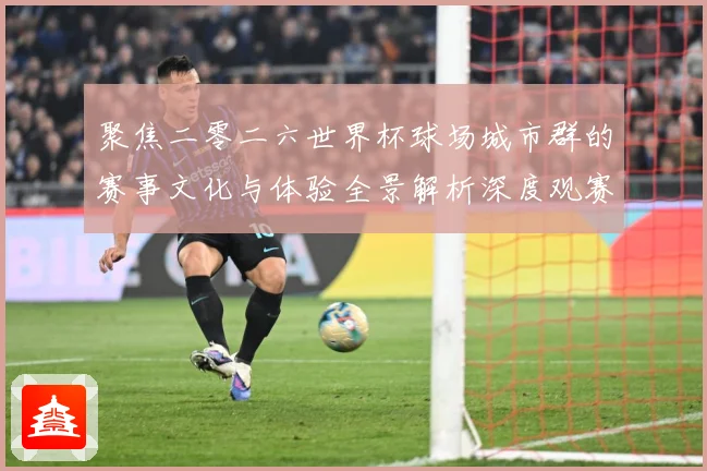 聚焦二零二六世界杯球场城市群的赛事文化与体验全景解析深度观赛事前瞻-深度解析