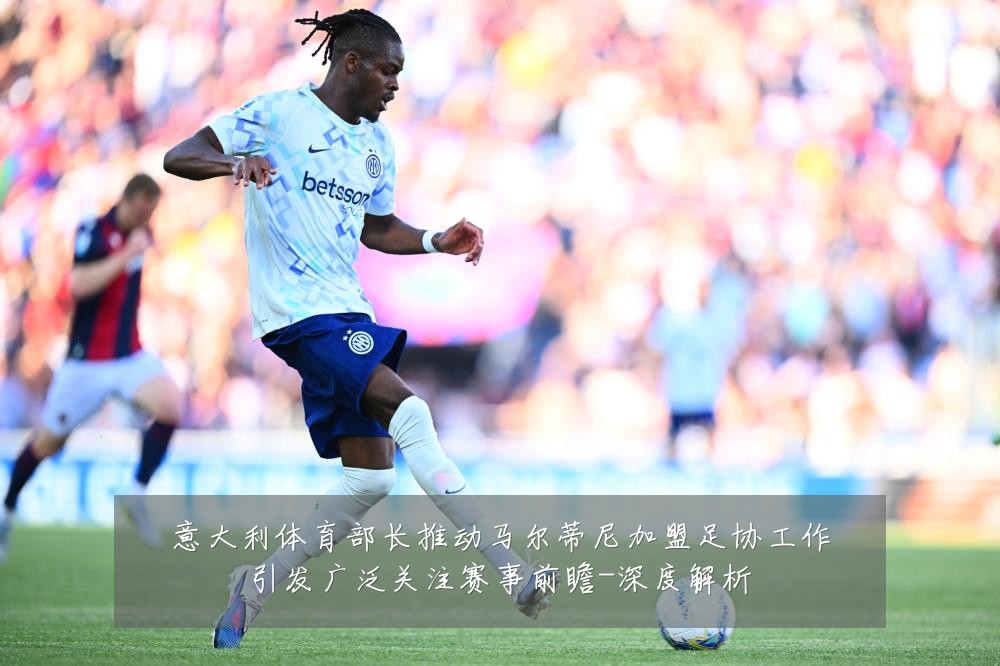 意大利体育部长推动马尔蒂尼加盟足协工作引发广泛关注赛事前瞻-深度解析